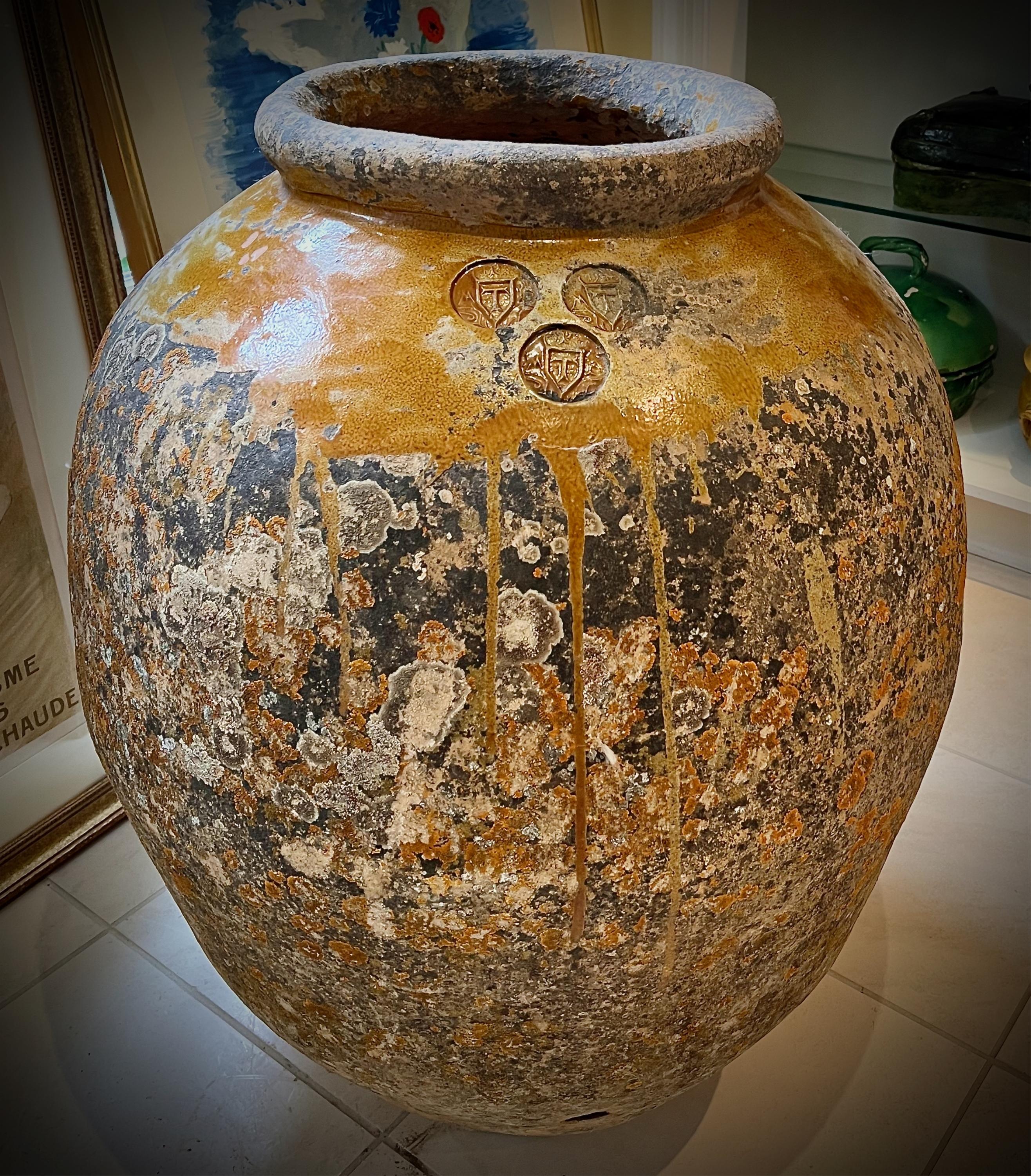 Earth and Time: The Enduring Tradition of the Biot Jar