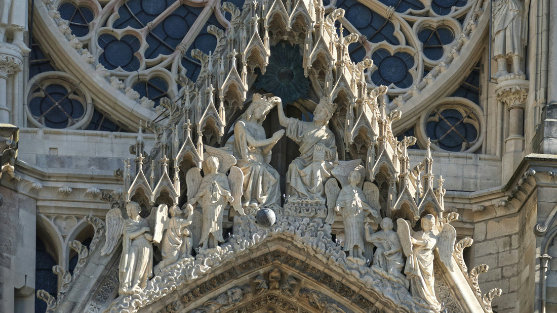 REIMS