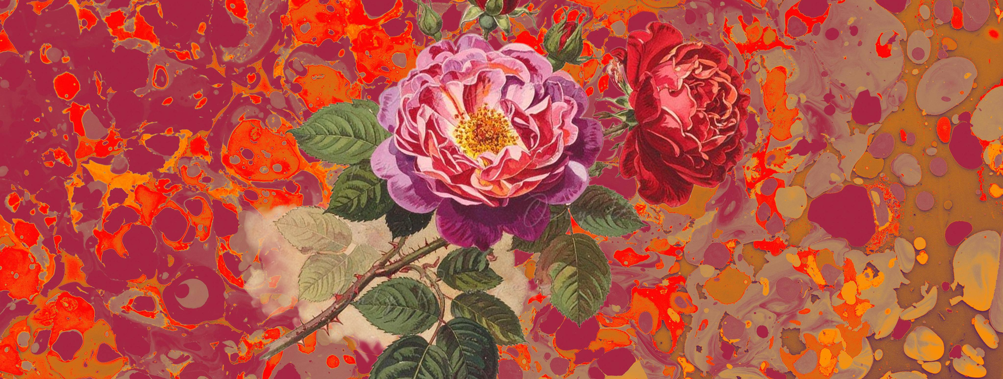 Les Fleurs