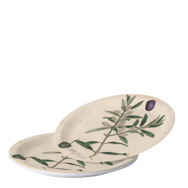 La Table Provinciale — European Olive (Pack of 8)