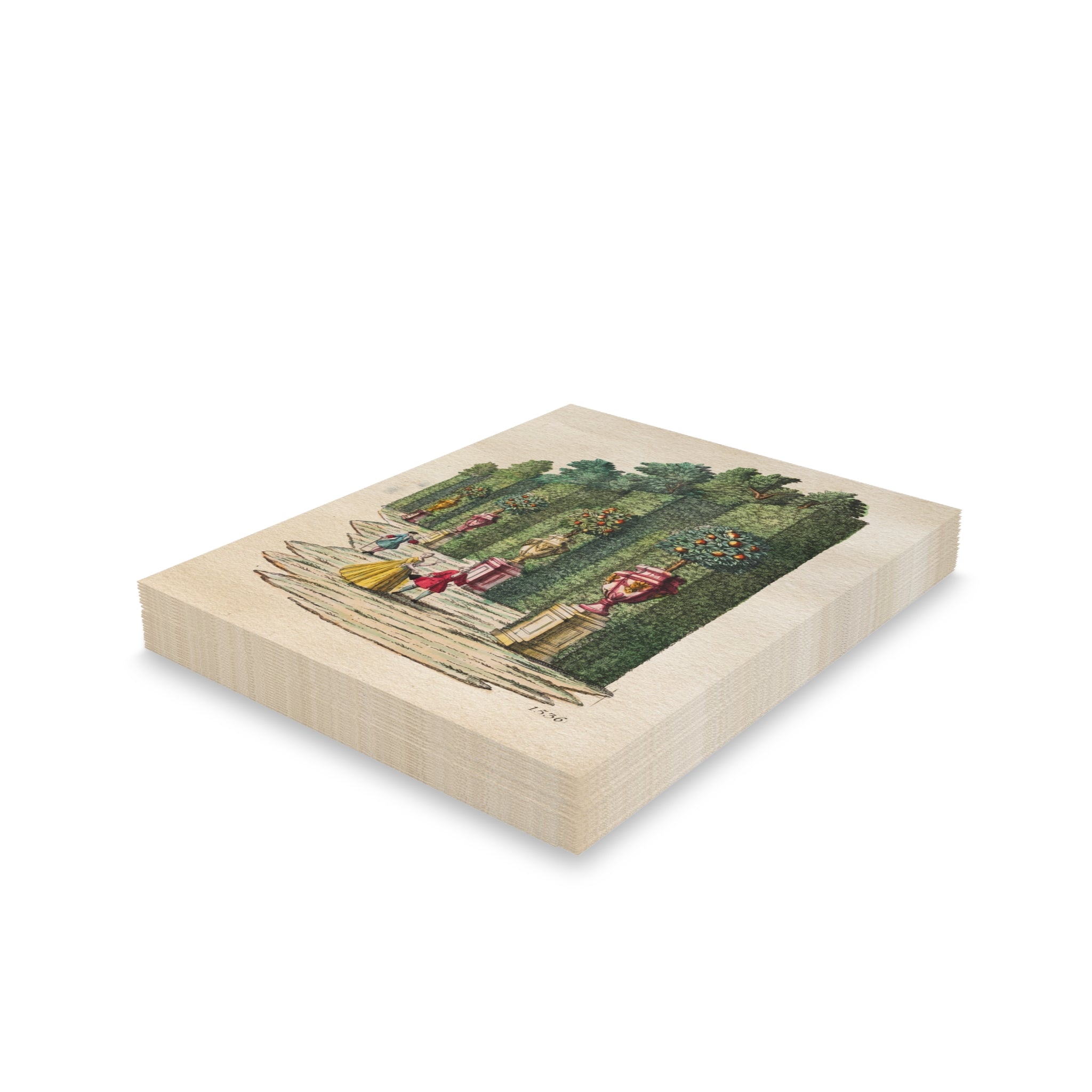 Orange Grove 1536 Greeting Cards — Blank Note Cards Set (8/16/24)