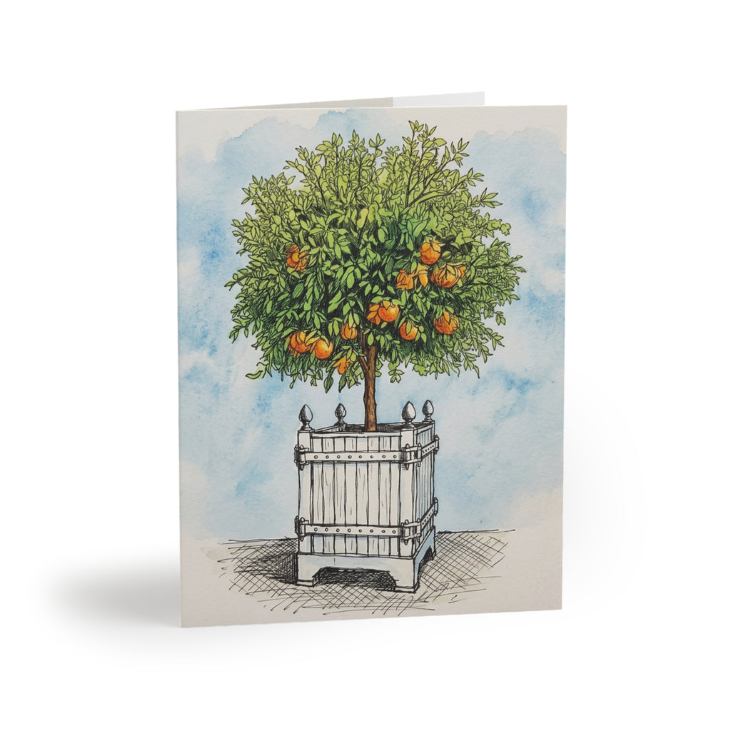 Versailles Orange Tree Greeting Cards - Set of 8/16/24 Blank Note Cards