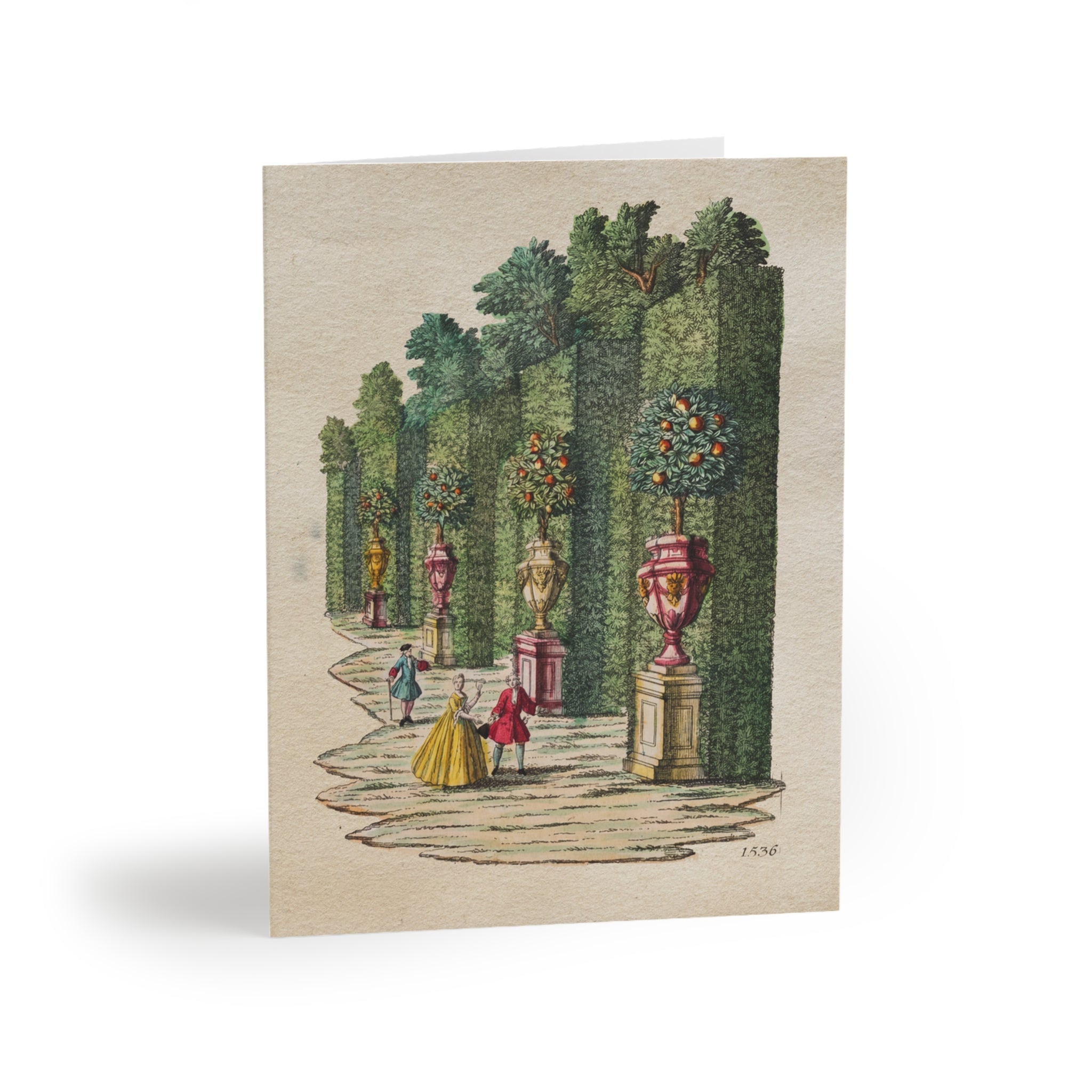 Orange Grove 1536 Greeting Cards — Blank Note Cards Set (8/16/24)