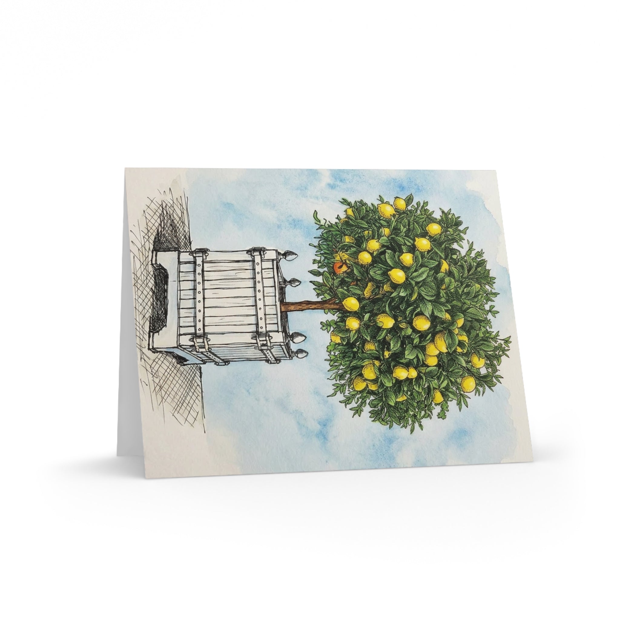 Versailles Lemon Tree Greeting Cards - Set of 8/16/24 Blank Note Cards
