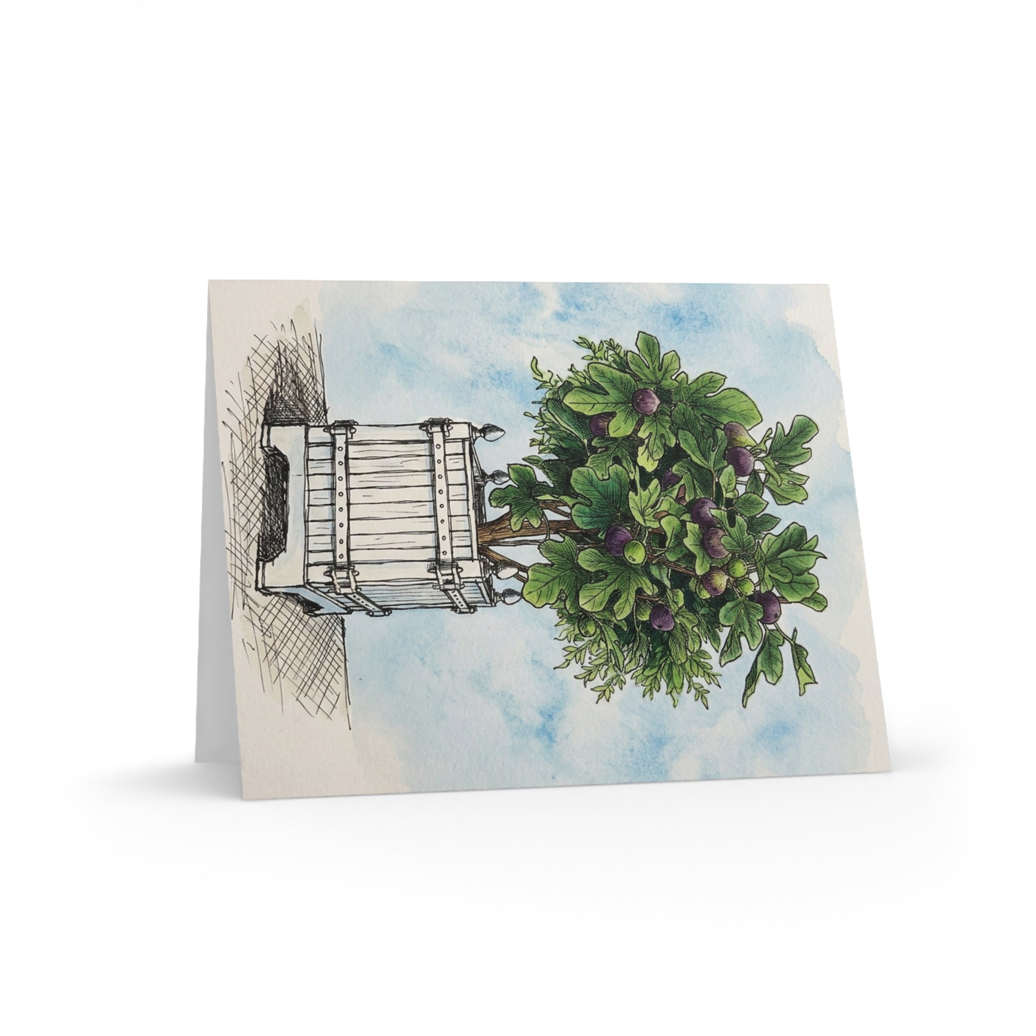Versailles Fig Tree Greeting Cards - Set of 8/16/24 Blank Note Cards