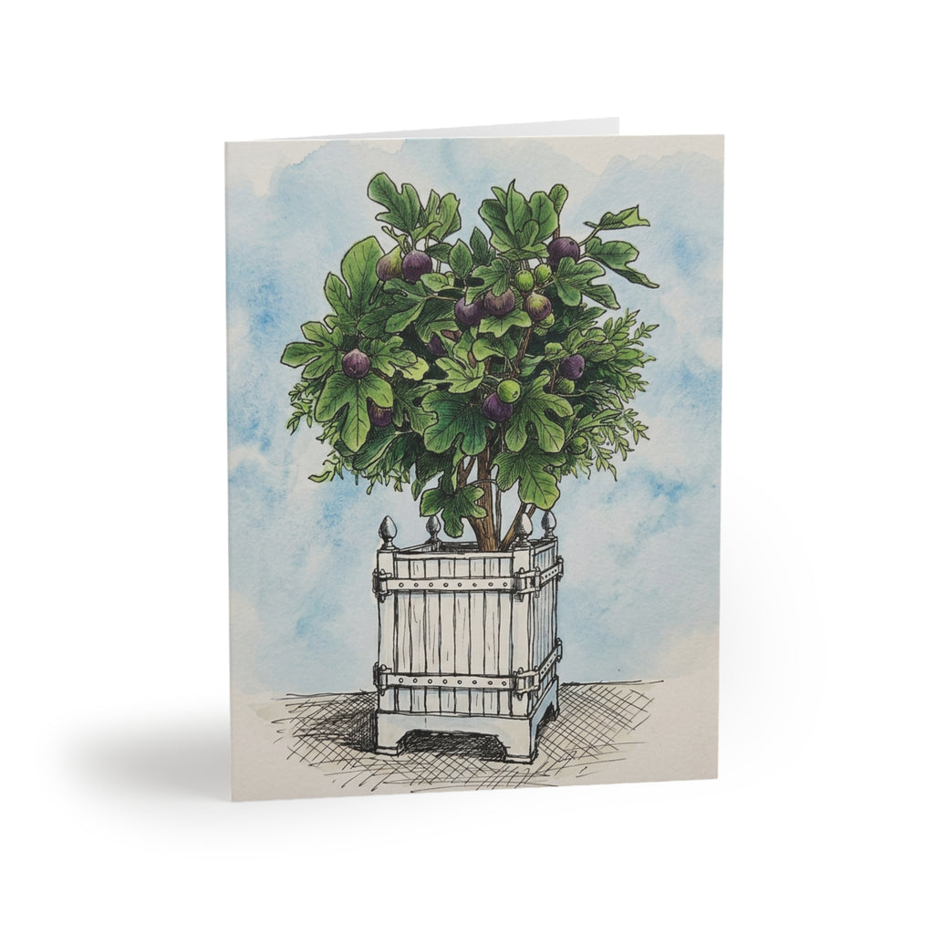 Versailles Fig Tree Greeting Cards - Set of 8/16/24 Blank Note Cards