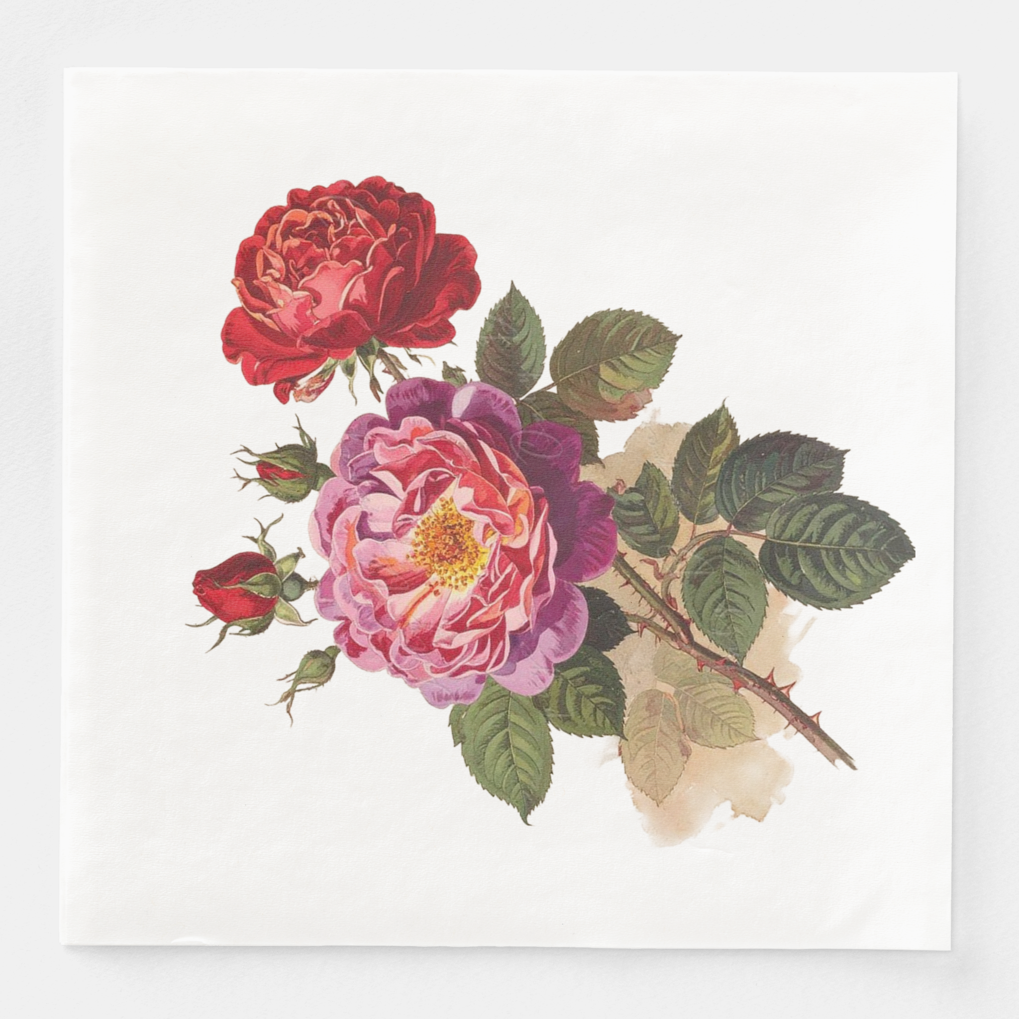 Vintage Voyagers France Dinner  Napkin Floral