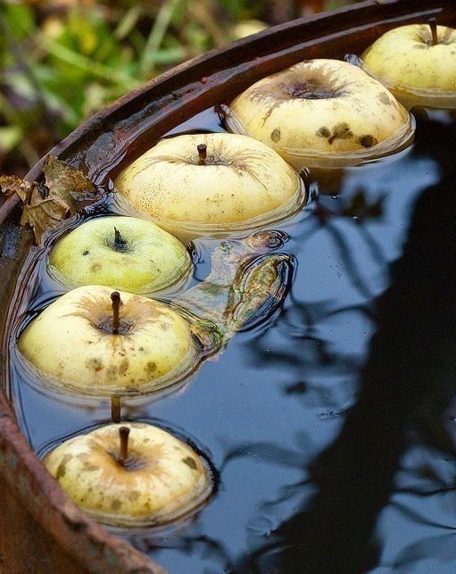 Parfum du Voyage Normandy Scented Candle