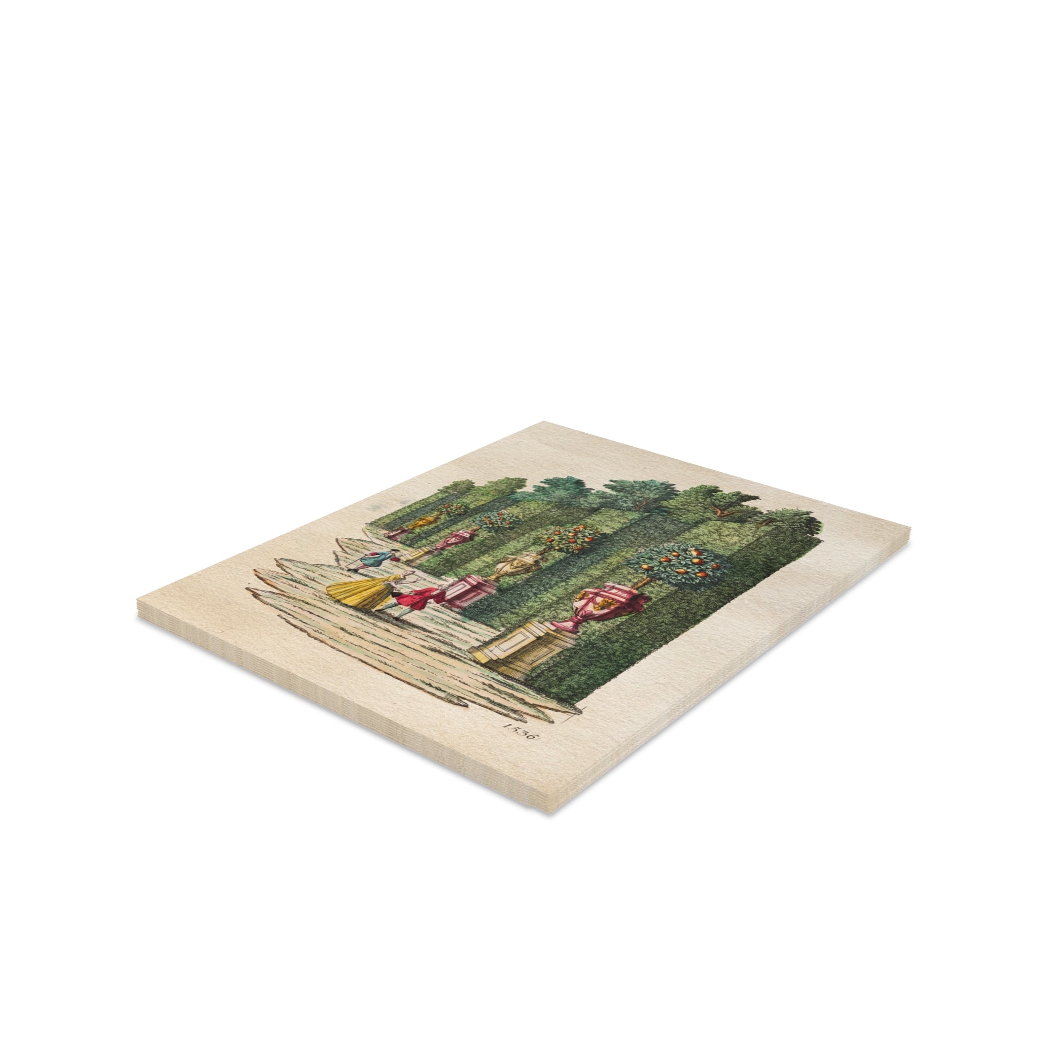 Orange Grove 1536 Greeting Cards — Blank Note Cards Set (8/16/24)