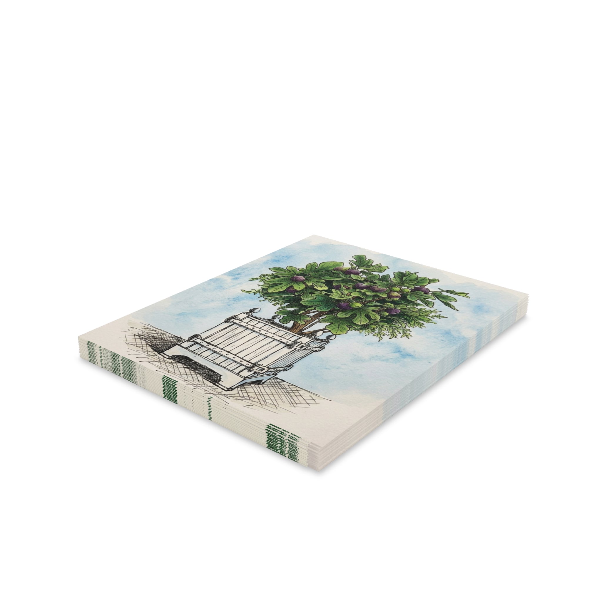 Versailles Fig Tree Greeting Cards - Set of 8/16/24 Blank Note Cards