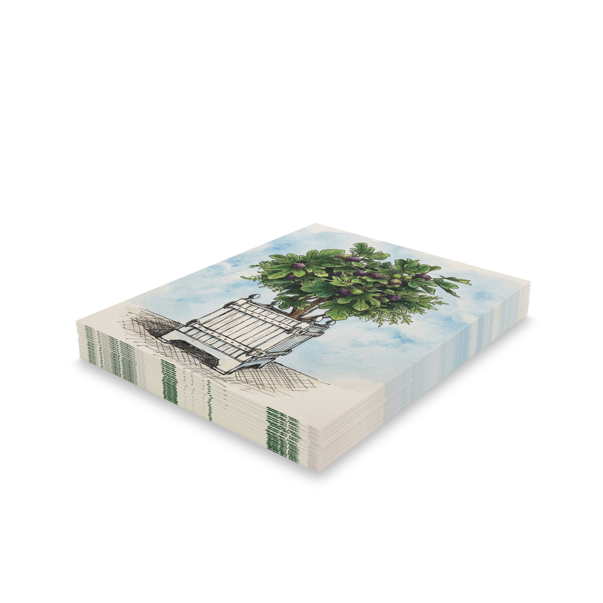 Versailles Fig Tree Greeting Cards - Set of 8/16/24 Blank Note Cards