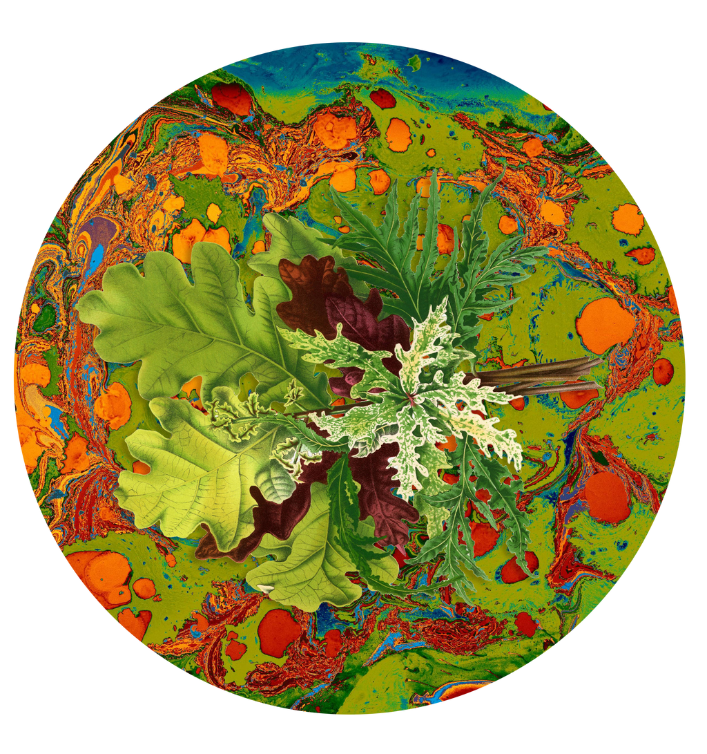 Les Fleur colorful paper plate