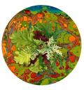 Les Fleur colorful paper plate