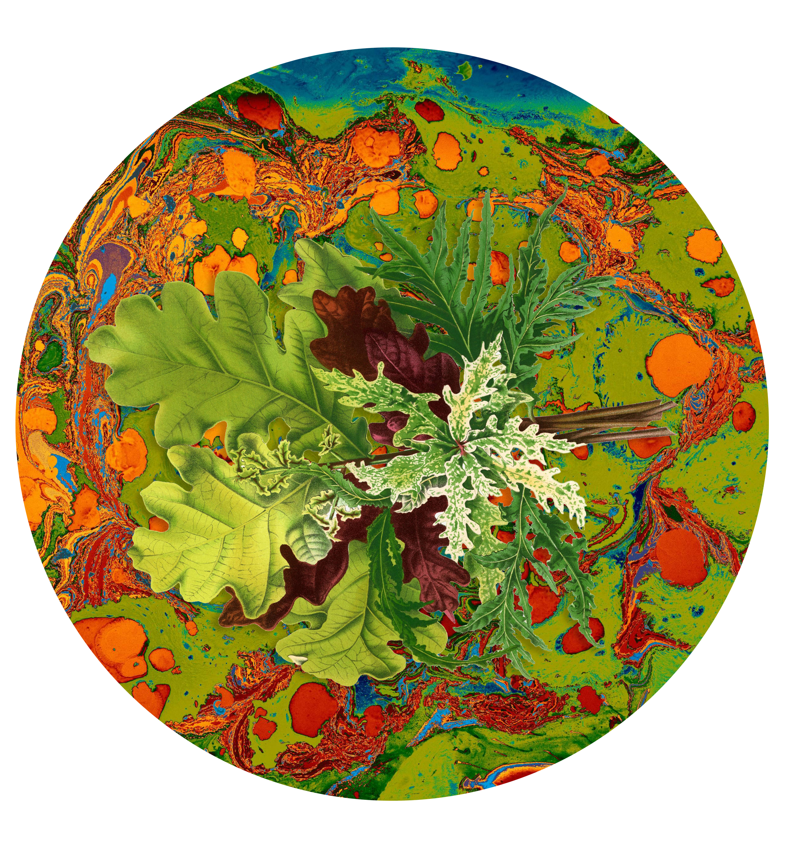 Les Fleur colorful paper plate