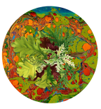 Les Fleurs Teal botanical floral paper plate