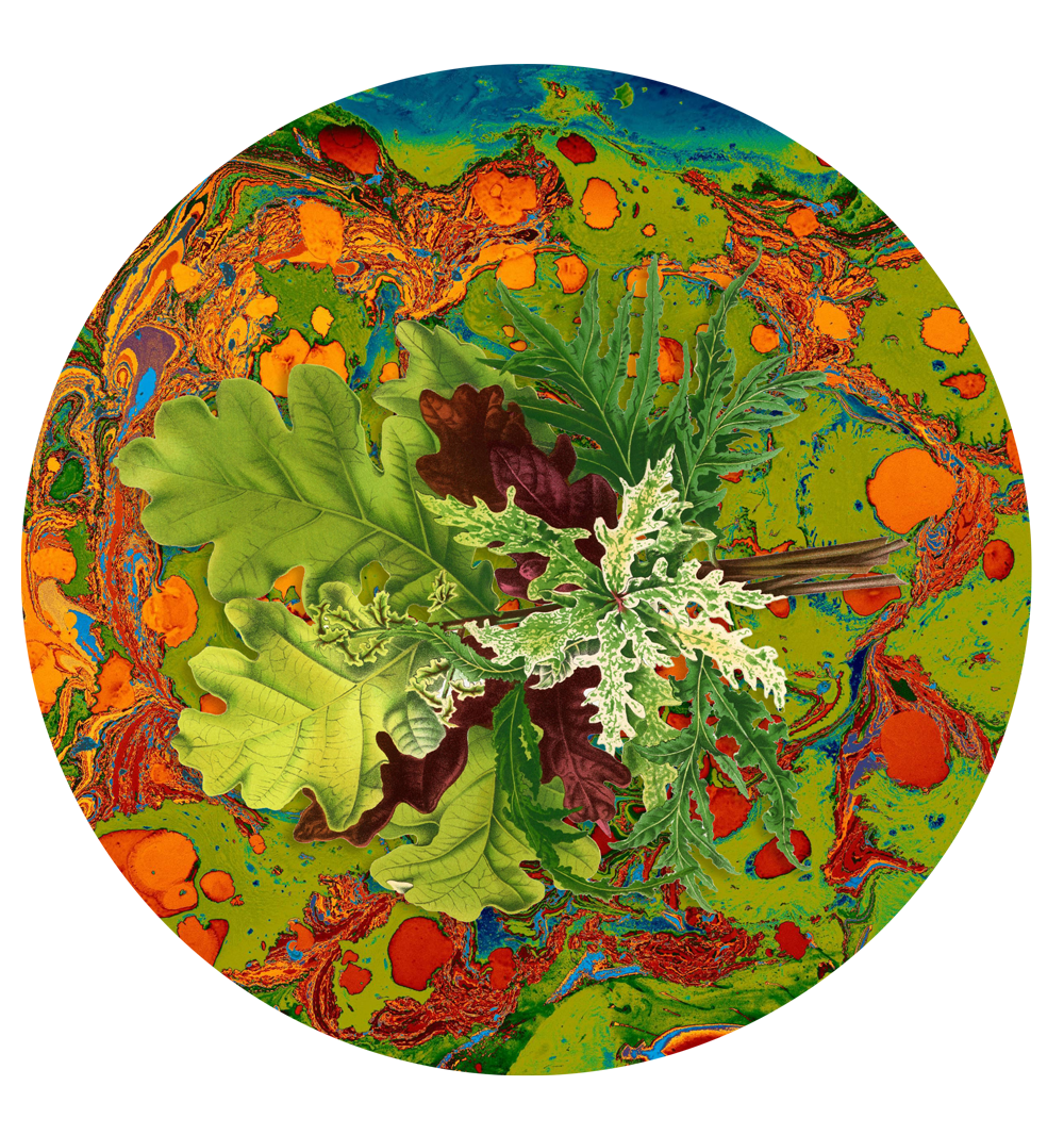 Les Fleurs Teal botanical floral paper plate