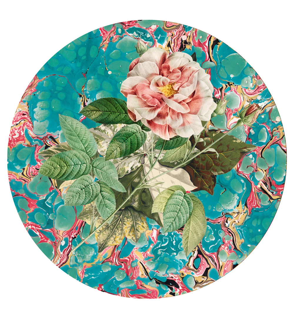 Les Fleurs Aqua botanical floral paper plate