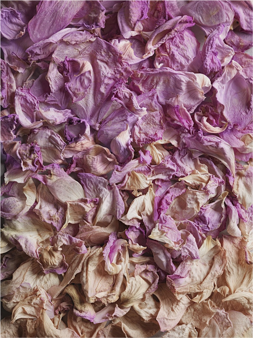 Parfume du Voyage Grasse Scented Candle