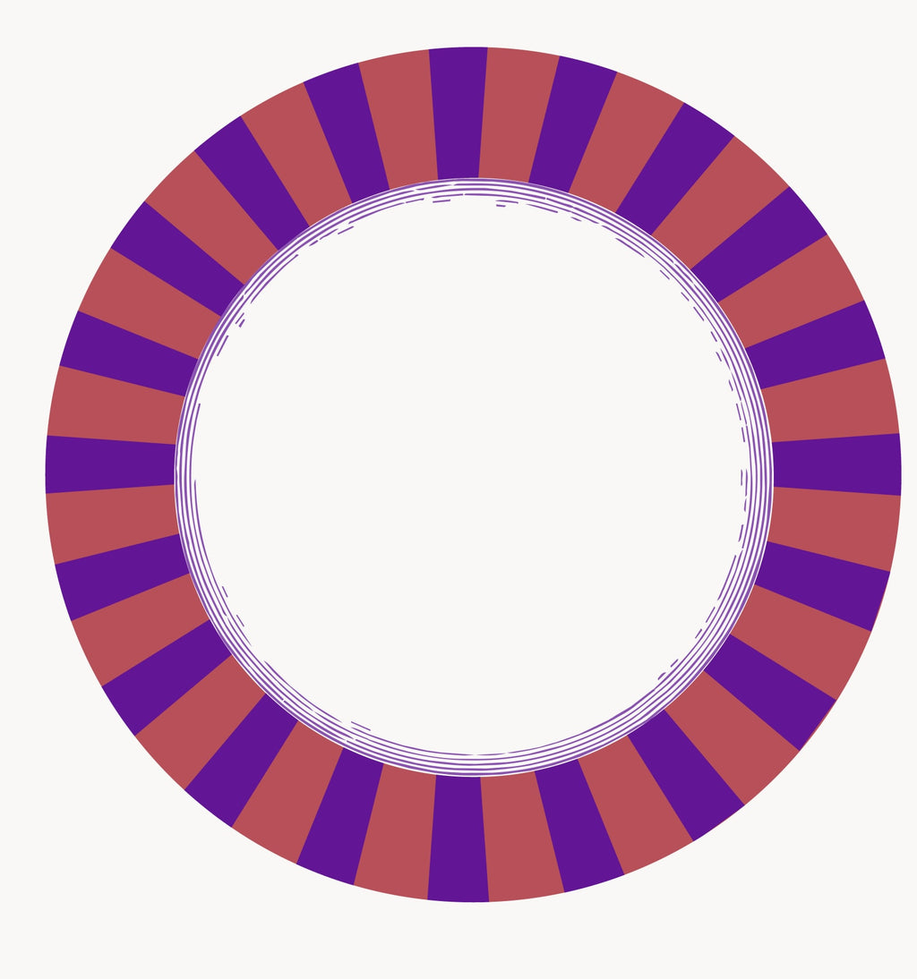 Les Fleurs Aubergine radial stripe paper plate