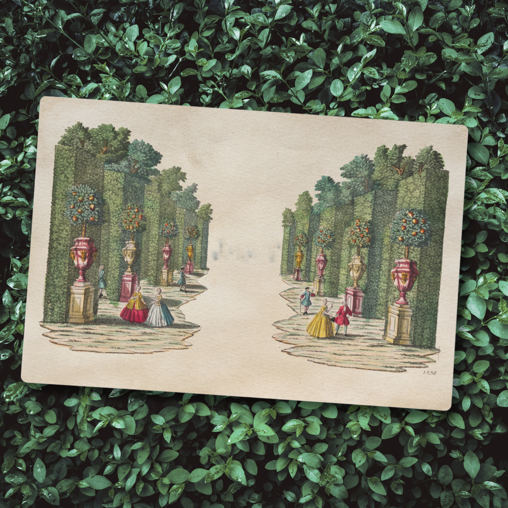 Orange Grove Placemat