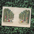 Orange Grove Placemat