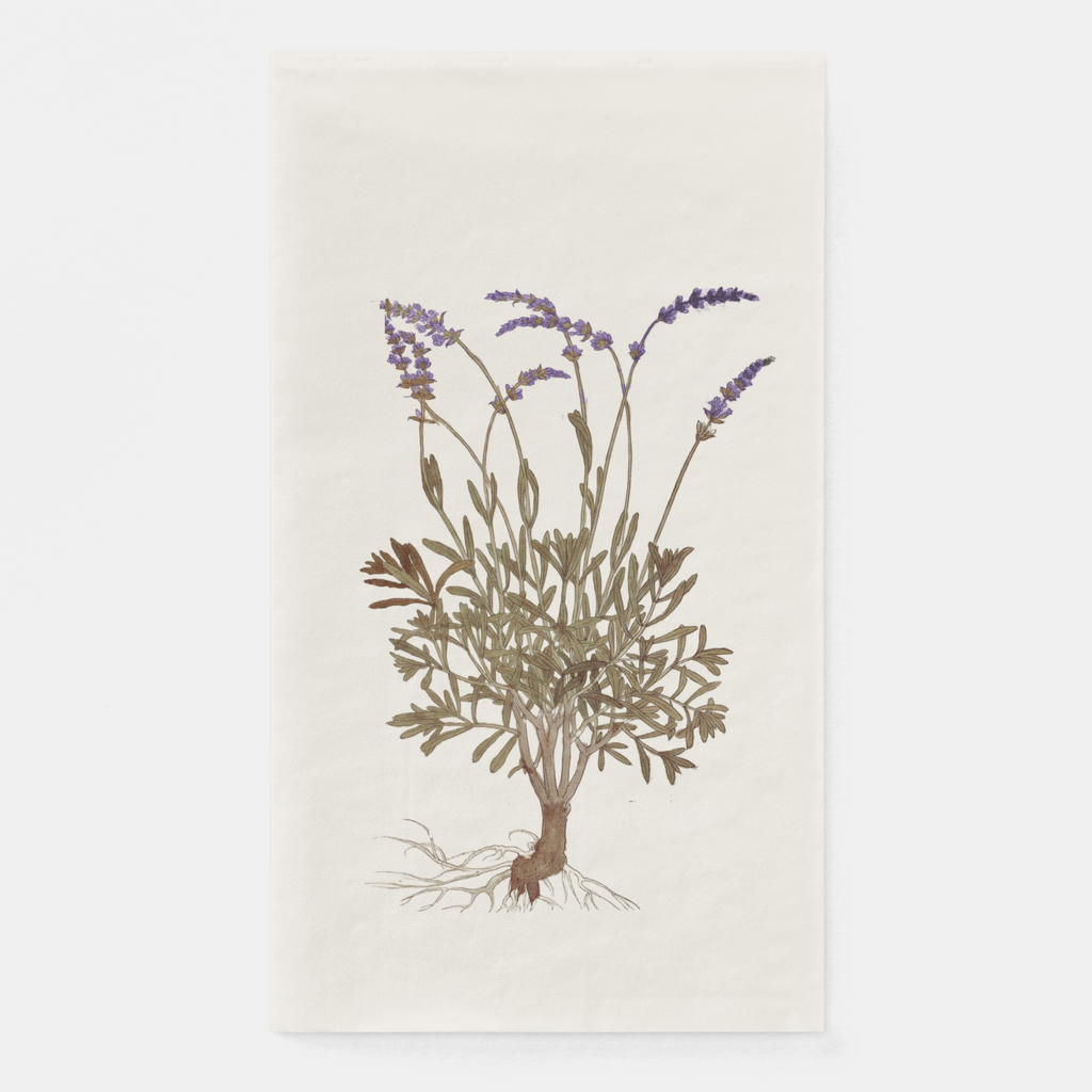 La Table Provinciale Lavender Guest Towel (Set of 16)
