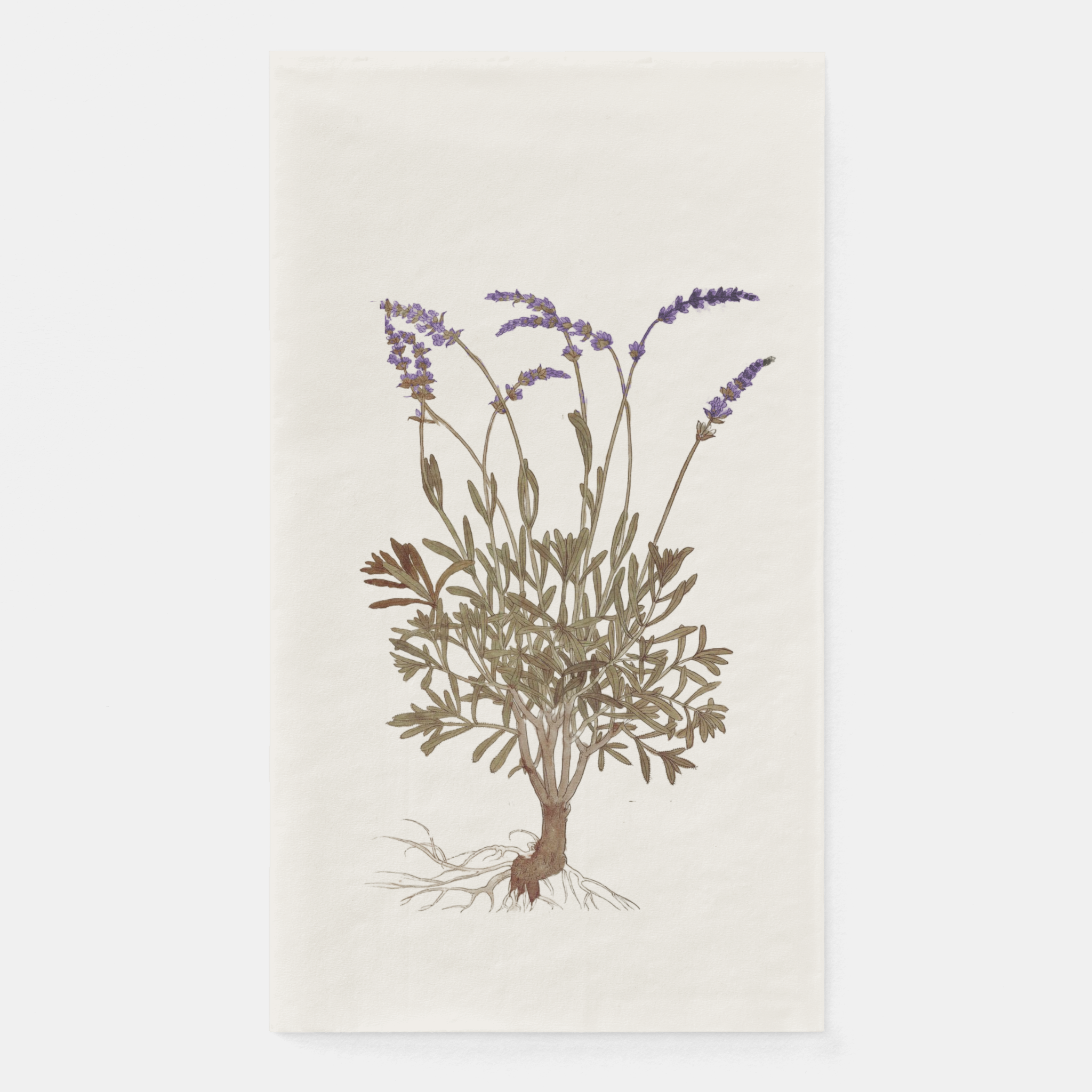 La Table Provinciale Lavender Guest Towel (Set of 16)