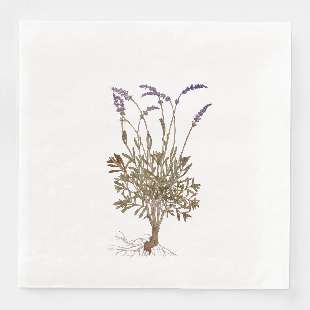 La Table Provinciale Lavender Dinner Napkin (Set of 16)