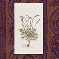 Vintage Voyagers France Lavender Guest Towel