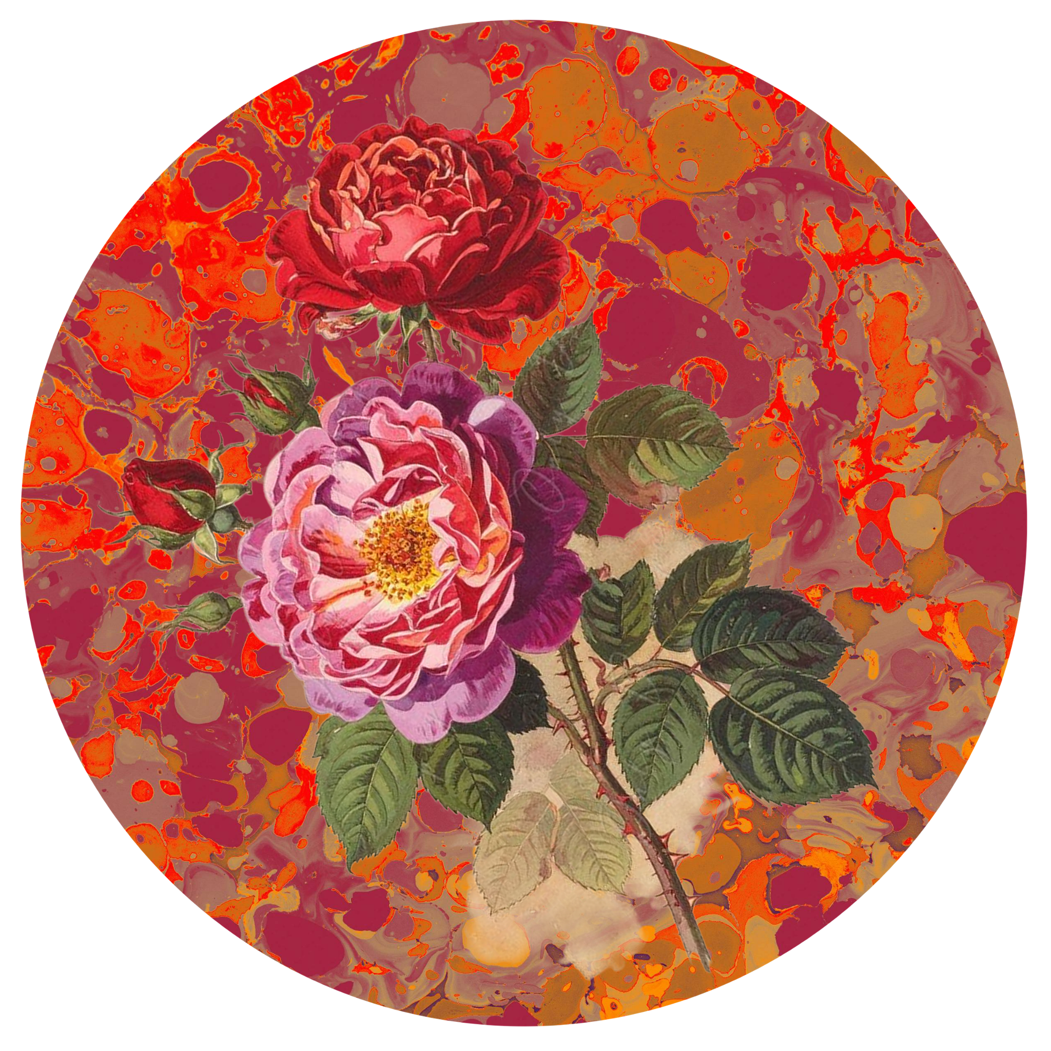 Les Fleurs Crimson Paper Party Plate
