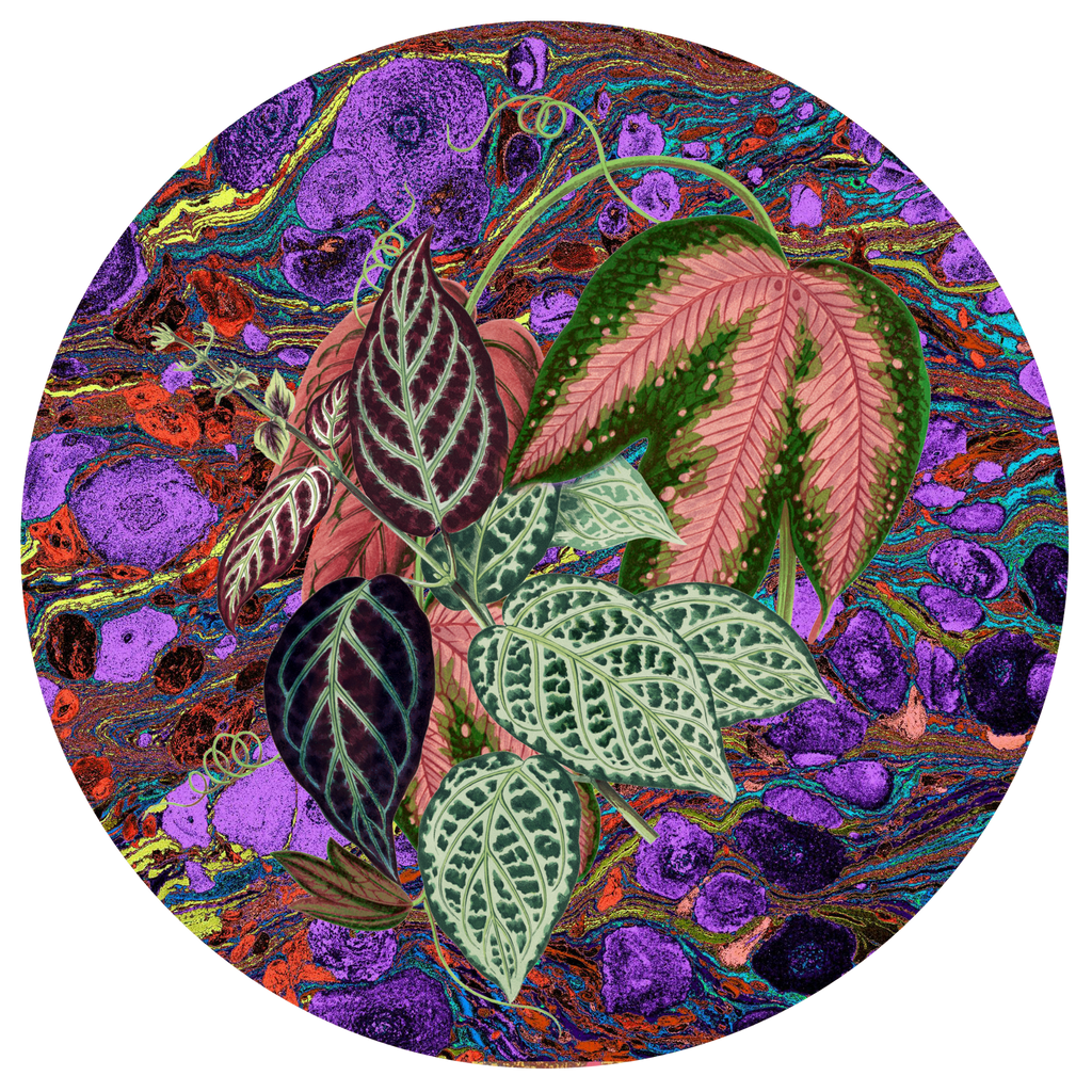 Les Fleurs Aubergine Paper Party Plate