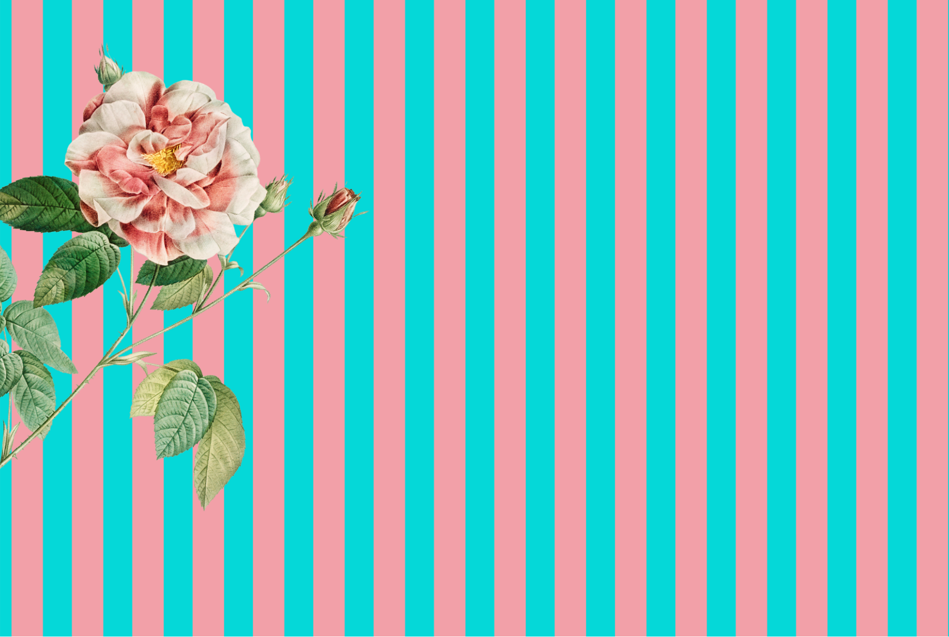 Tear Away Pink Aqua Paper Party Placemat
