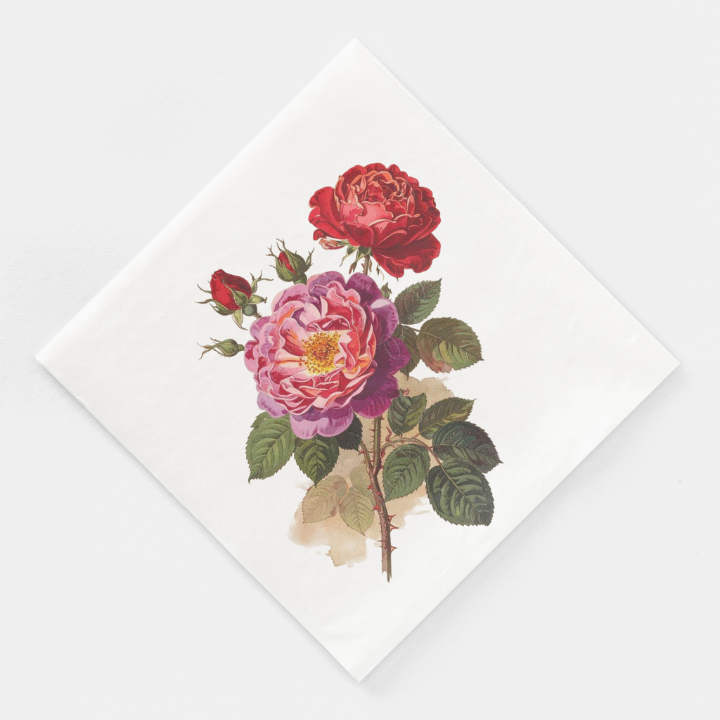 Floral design with red and pink roses on a white background