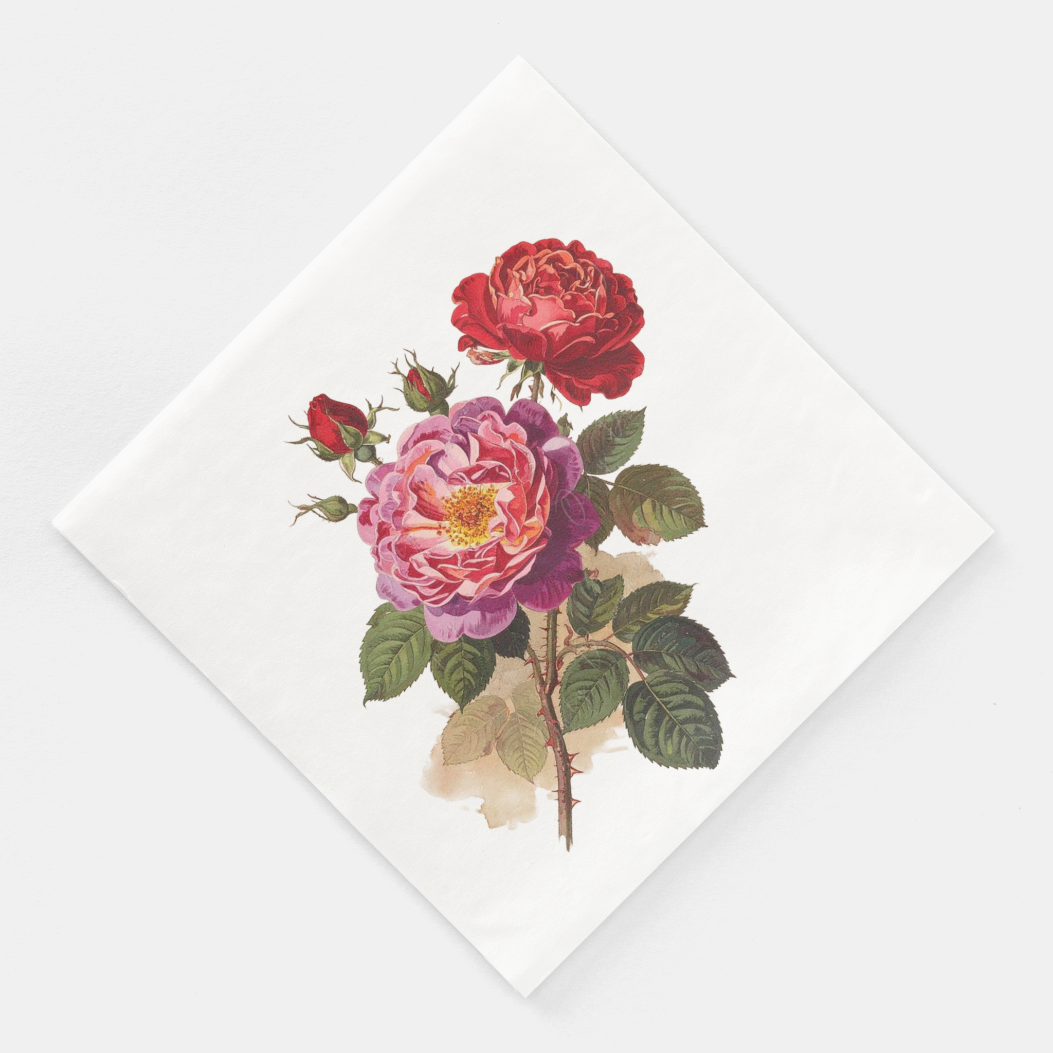Floral design with red and pink roses on a white background