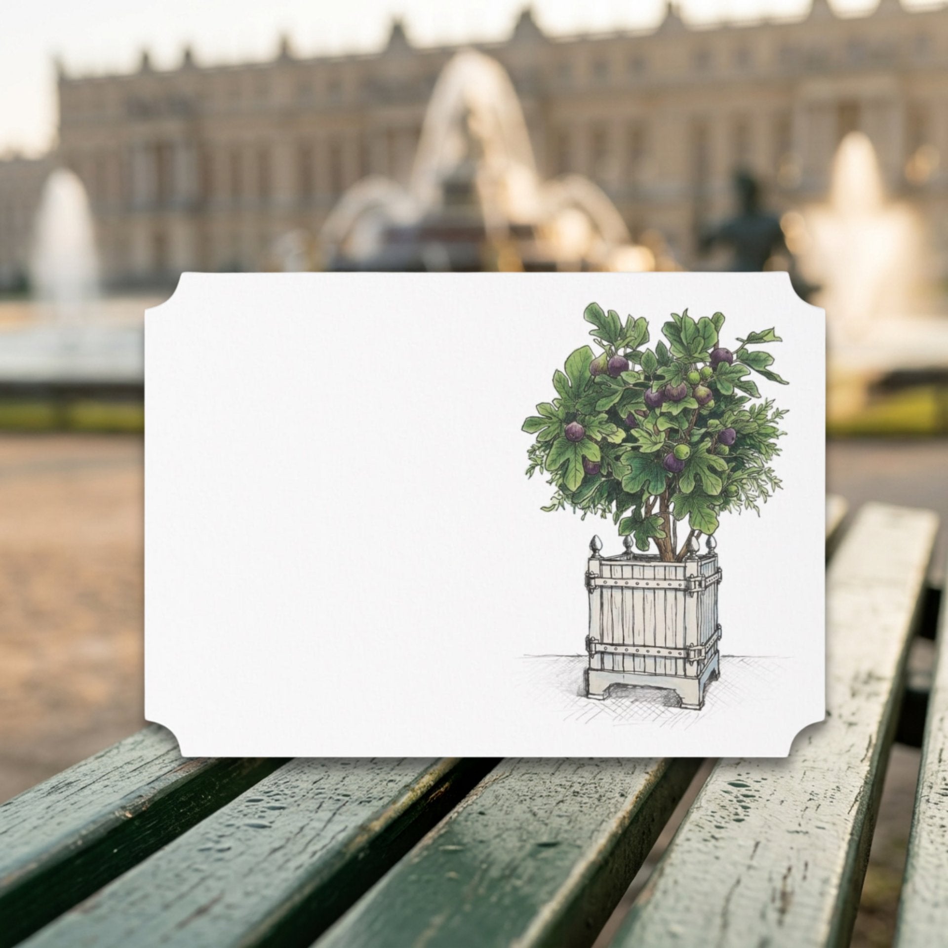 Vintage Voyagers France Fig Topiary Place Card