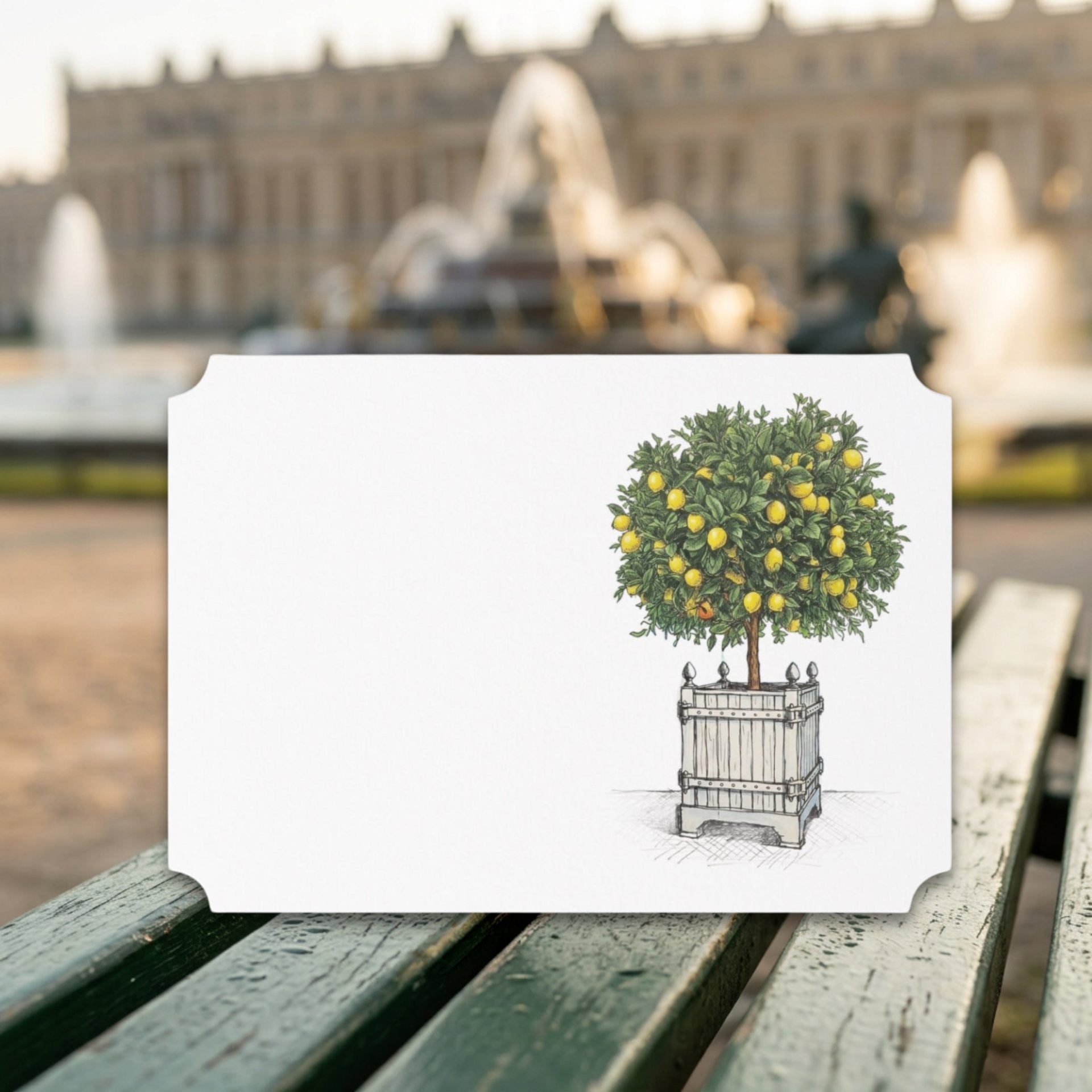 Vintage Voyagers France Lemon Topiary Place Card