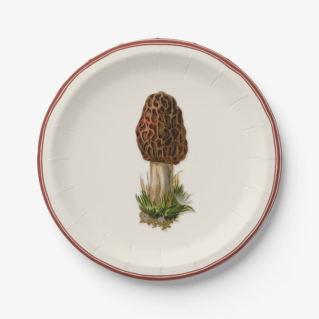 Morel paper plate