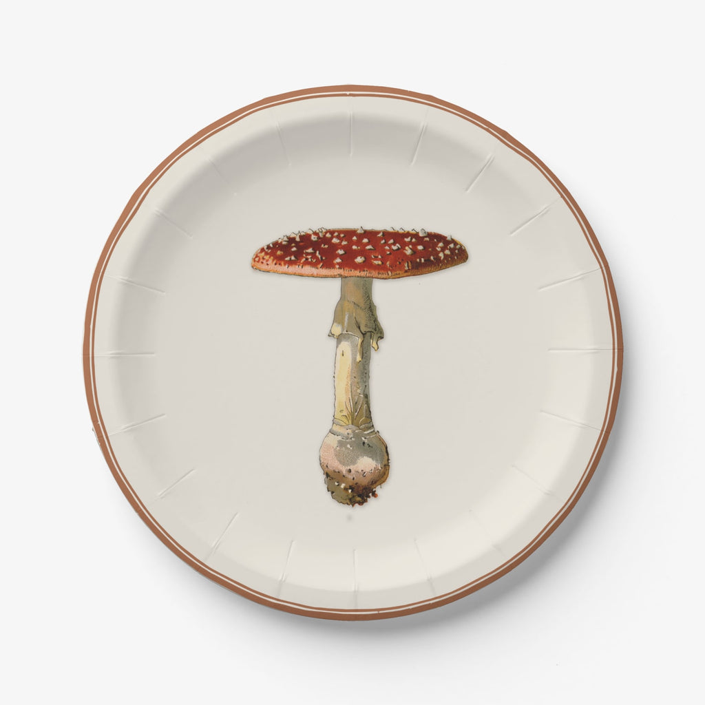 Fly agaric paper plate