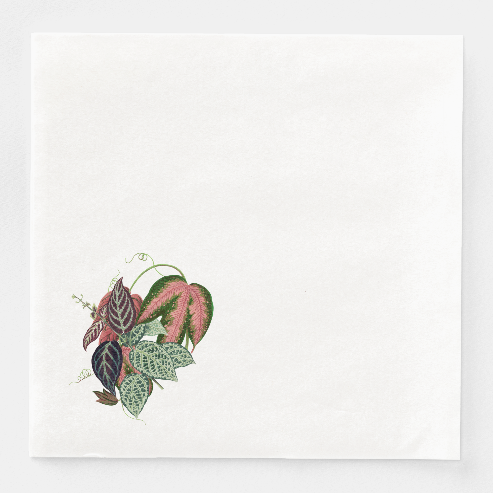 Les Fleurs Aubergine dinner napkin