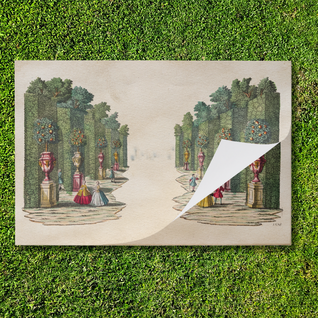 Tear Away Orange Grove Paper Party Placemat