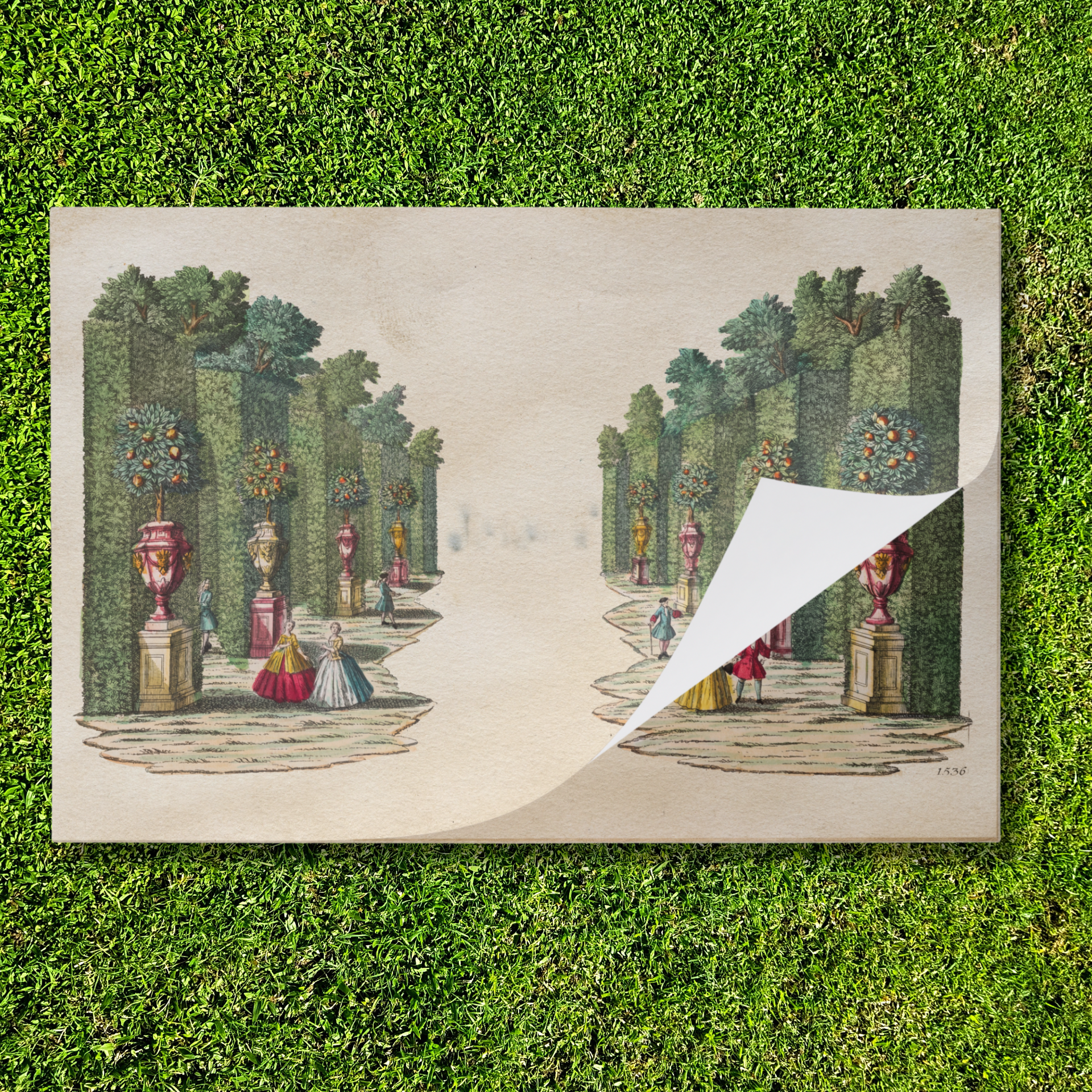 Tear Away Orange Grove Paper Party Placemat