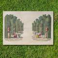 Tear Away Orange Grove Paper Party Placemat