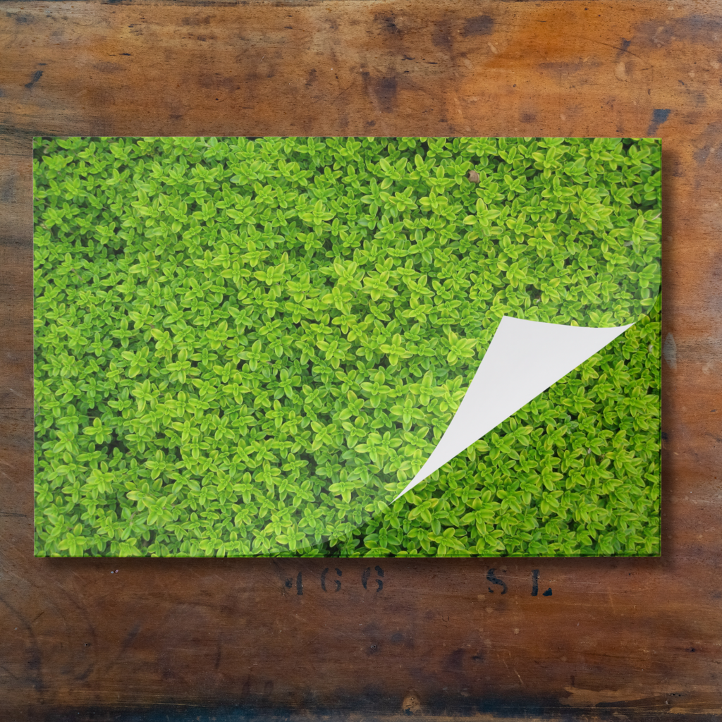 Tear Away Hedge Paper Party Placemat