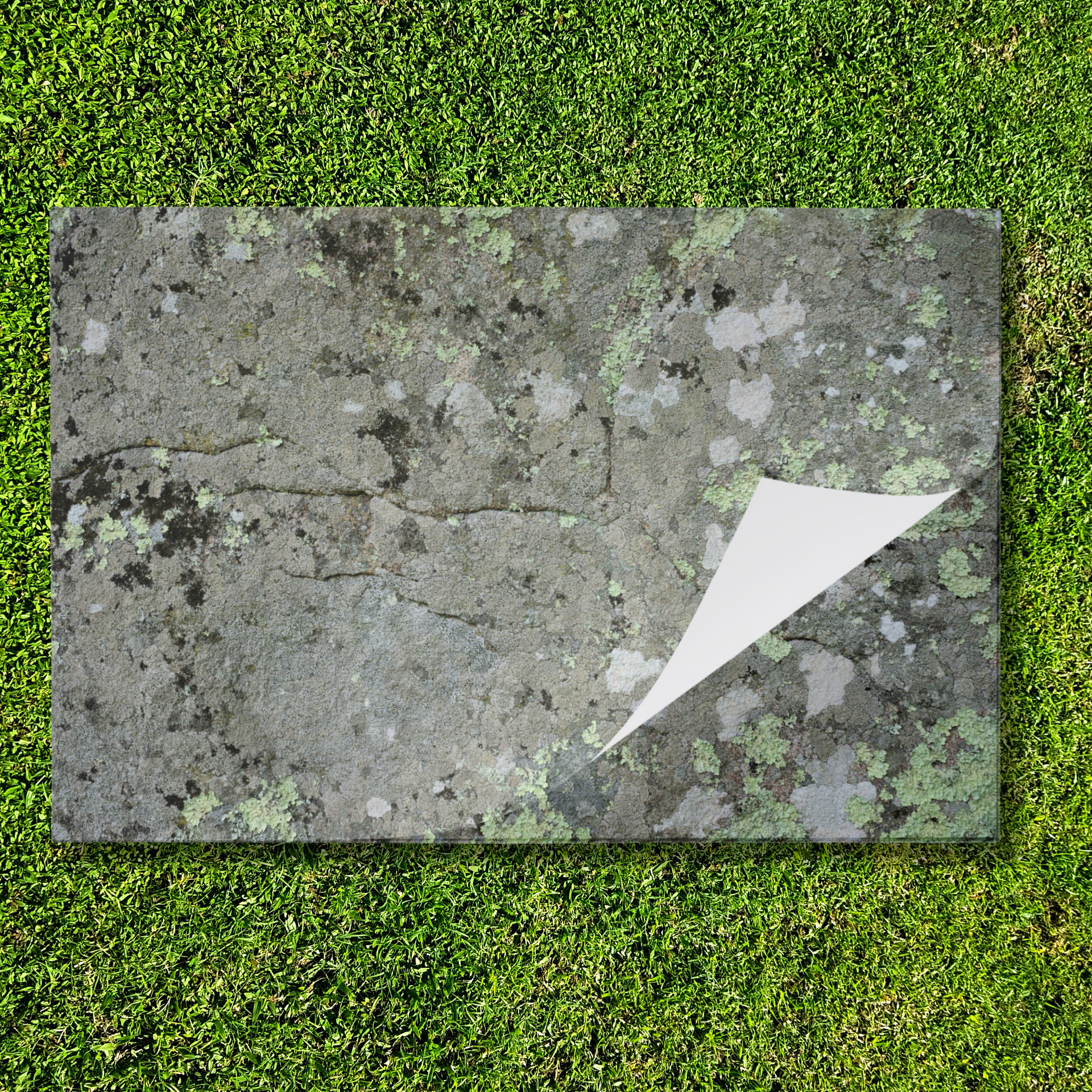 Tear Away Lichen Stone Paper Party Placemat