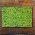 Tear Away Hedge Paper Party Placemat