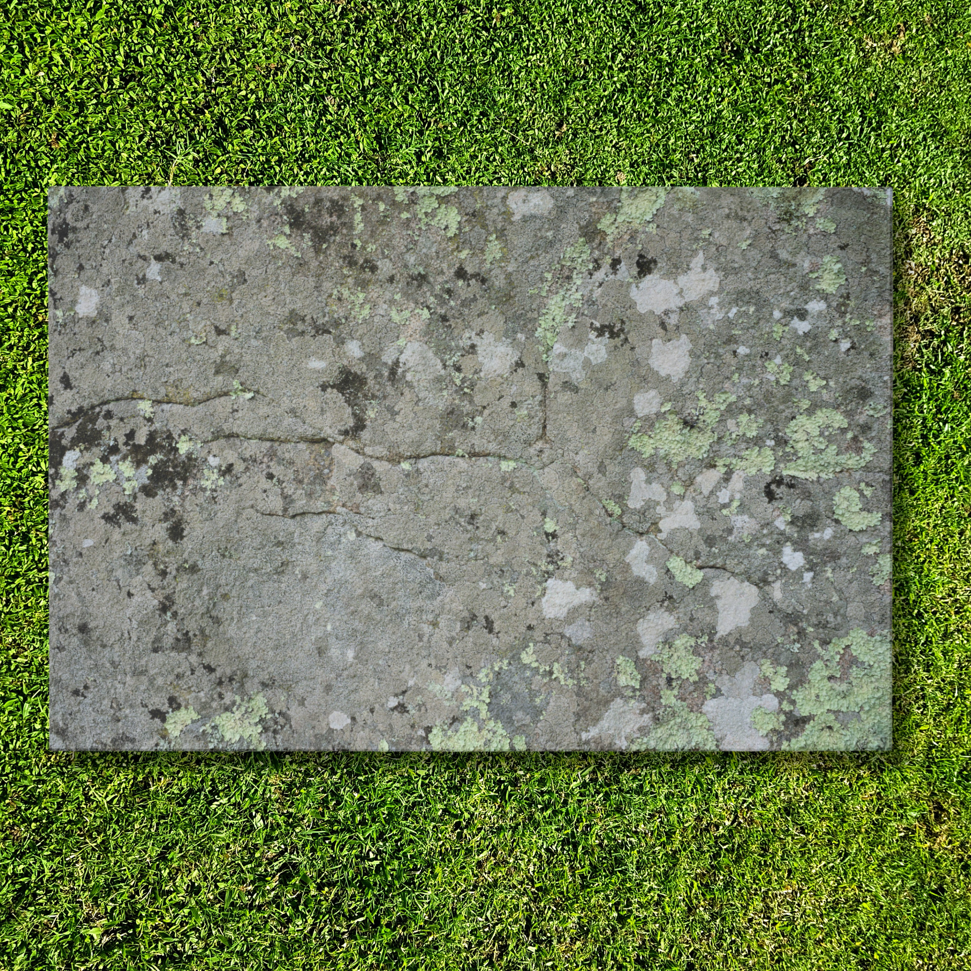 Tear Away Lichen Stone Paper Party Placemat