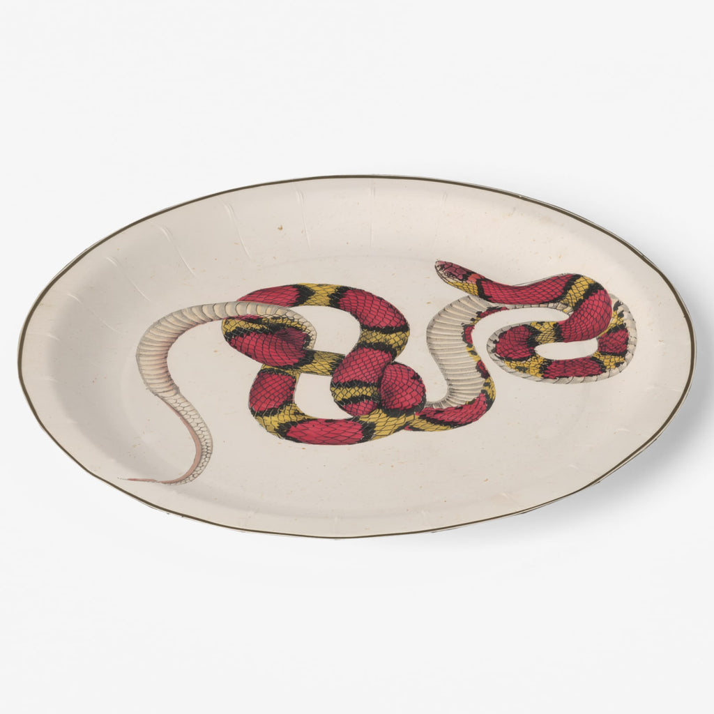Scarlet Snake antique snake Halloween paper plate, angled view