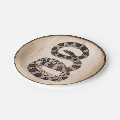 Grey Kingsnake antique snake Halloween paper plate, angled view