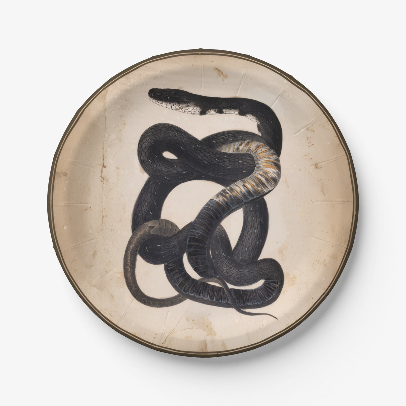 Black Snake antique snake Halloween paper plate, overhead