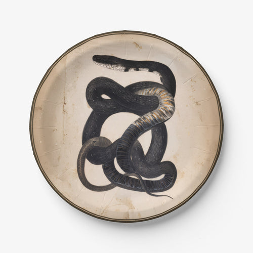 Black Snake antique snake Halloween paper plate, overhead